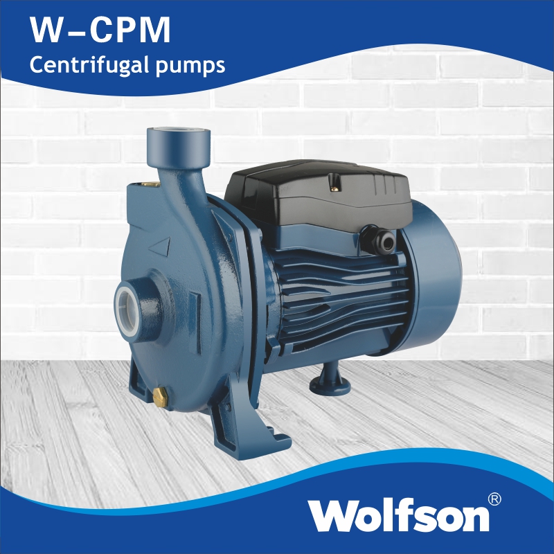 W-CPM centrifugal pumps