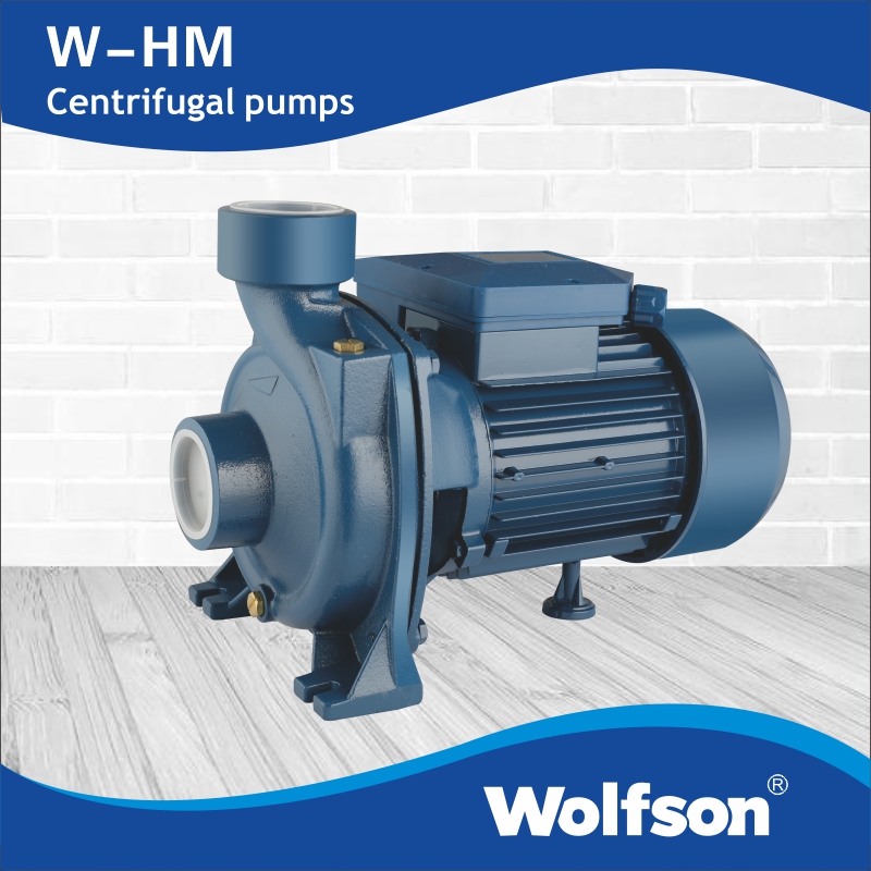 W-HM centrifugal pumps