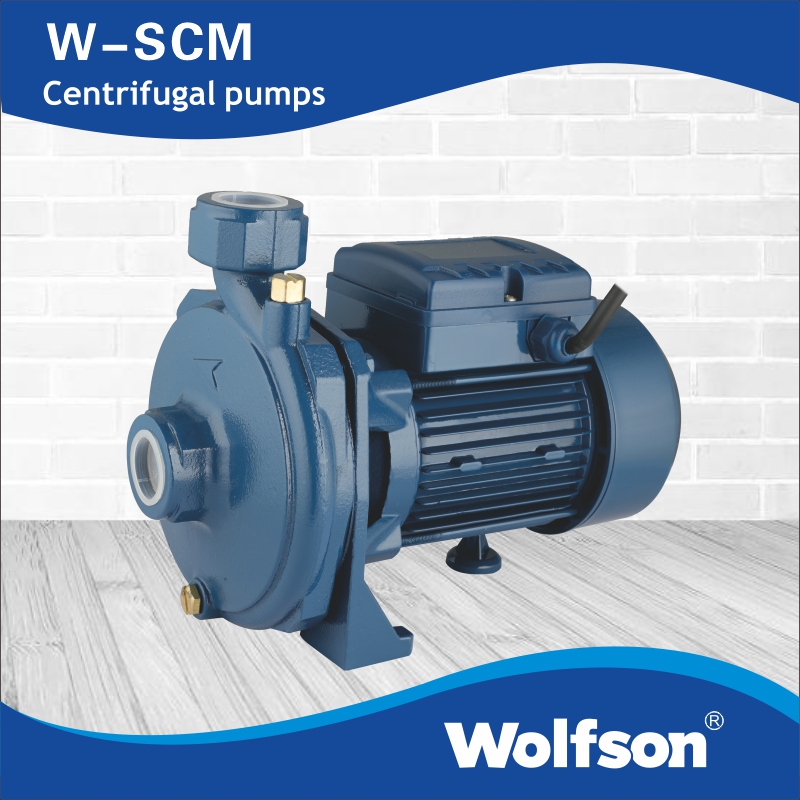 W-SCM centrifugal pumps