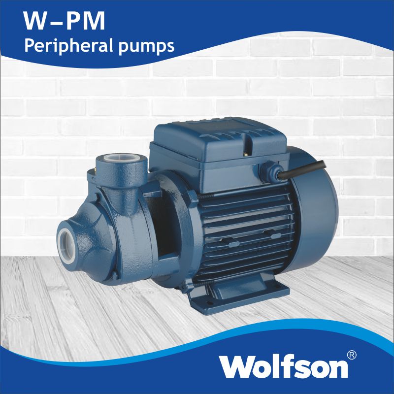 W-PM Peripheral pumps