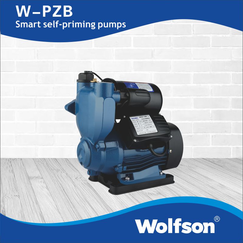 W-PZB Smart self-priming pumps