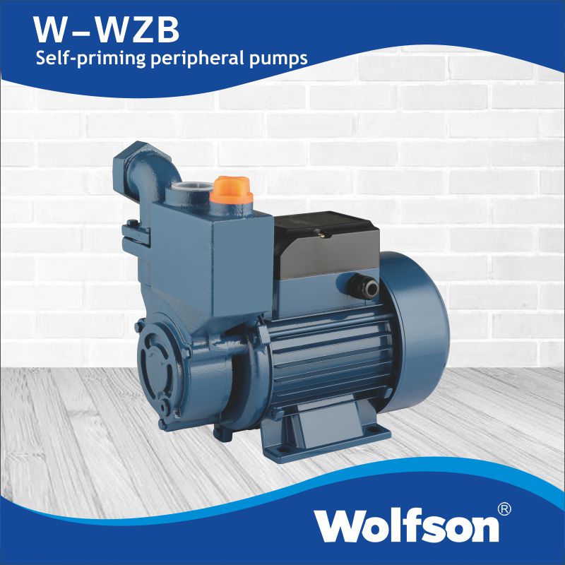 W-WZB Self-priming peripheral pumps